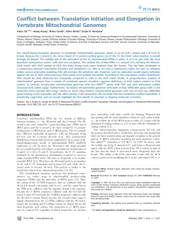 Conflict between Translation Initiation and Elongation in