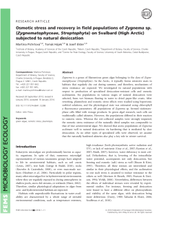 Osmotic stress and recovery in field populations of Zygnema sp