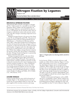 Nitrogen Fixation by Legumes - College of Agricultural, Consumer