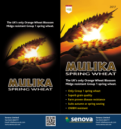 Mulika Variety Card - Senova