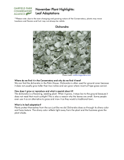 Leaf Adaptations - Garfield Park Conservatory