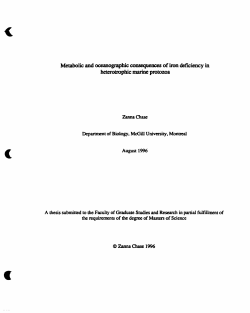 Metabolic and ~ceatlographic coIIs6QuetUrp_C: of iron deficiency in