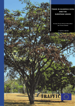 TRADE IN DALBERGIA NIGRA AND THE EUROPEAN UNION