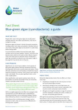Blue Green Algae - Water Research Australia