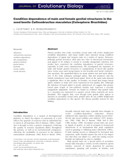 Condition dependence of male and female genital structures in the