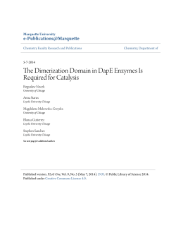 The Dimerization Domain in DapE Enzymes Is Required for Catalysis