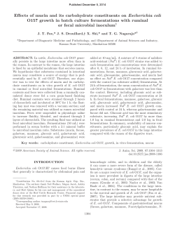 Effects of mucin and its carbohydrate constituents on Escherichia