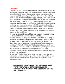 THE WALL Concrete or brick walls are preferred, as softer walls can