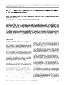 Aa TFL1 Confers an Age-Dependent Response to