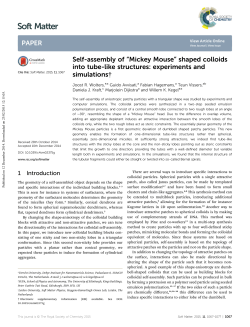Self-assembly of &ldquo;Mickey Mouse&rdquo; shaped colloids into tube