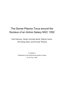 The Dense Plasma Torus around the Nucleus of an Active Galaxy