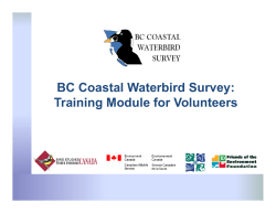 BC Coastal Waterbird Survey