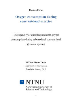Master thesis - bibsys brage