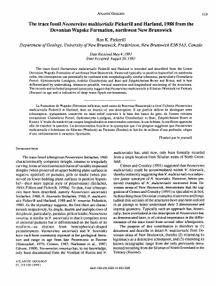 The trace fossil Neonereites multiserialis Pickerill and Harland, 1988