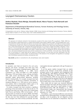 Laryngeal Chemosensory Clusters