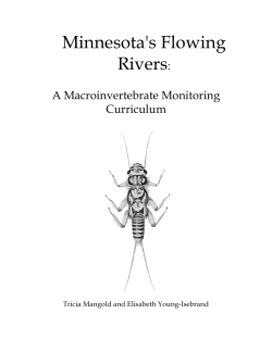 Minnesota`s Flowing Rivers: