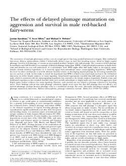 The effects of delayed plumage maturation on