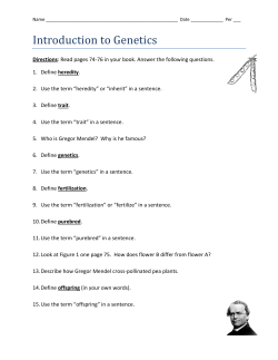 Introduction to Genetics WS