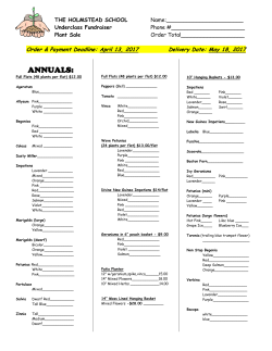 Plant Sale 2017 - Holmstead School