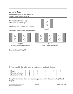 Joyce`s Rugs - Noyce Foundation