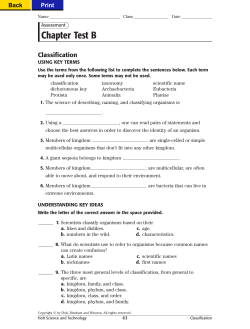 Chapter Test B
