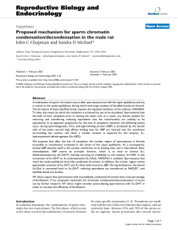 Proposed mechanism for sperm chromatin condensation