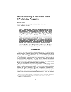The Neuroanatomy of Phenomenal Vision