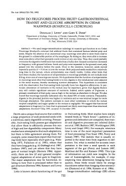 HOW DO FRUGIVORES PROCESS FRUIT? GASTROINTESTINAL