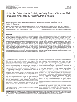 Molecular Determinants for High-Affinity Block of Human EAG