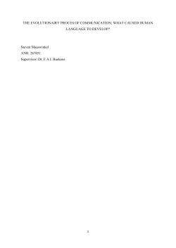 Steven Maaswinkel ANR: 267051 Supervisor: Dr.