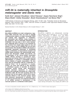 miR-34 is maternally inherited in Drosophila melanogaster and