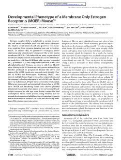 Developmental Phenotype of a Membrane Only Estrogen Receptor