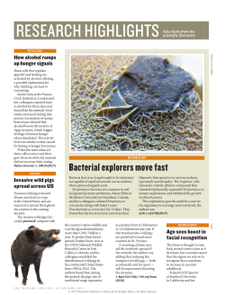 Bacterial explorers move fast