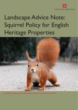 Landscape Advice Note: Squirrel Policy for English Heritage Estates
