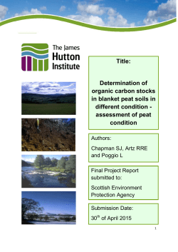 assessment of peat condition