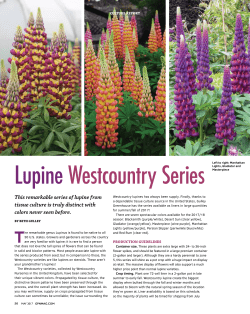 PDF: Culture Report - Greenhouse Product News