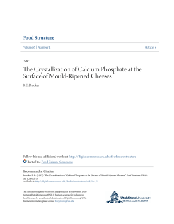 The Crystallization of Calcium Phosphate at the Surface of Mould