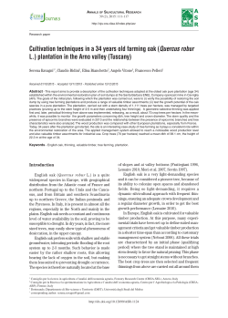 Cultivation techniques in a 34 years old farming oak (Quercus robur