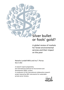 Silver bullet or fools` gold?