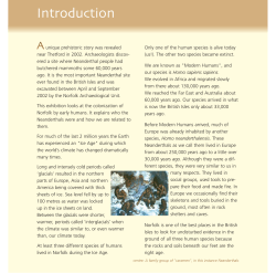 Neanderthals exhibition text