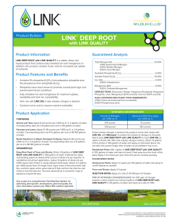 LINK&reg; Deep Root - Wilbur