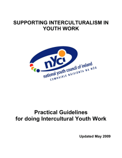 Practical Guidelines for Doing Intercultural Youth Work