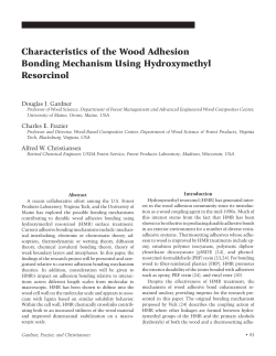 Characteristics of the Wood Adhesion Bonding