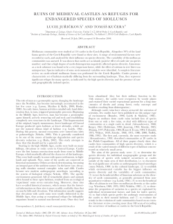 ruins of medieval castles as refuges for