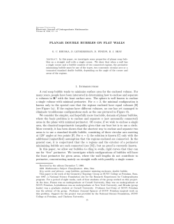PDF File - Furman Mathematics Department