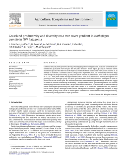 Grassland productivity and diversity on a tree cover gradient in