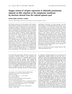 Oxygen control of nif gene expression in Klebsiella pneumoniae