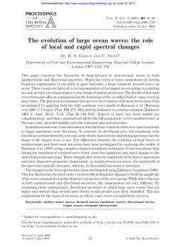 The evolution of large ocean waves