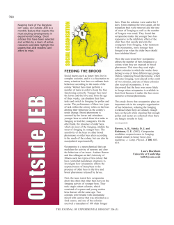 social organisation - Journal of Experimental Biology