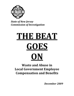 Waste and Abuse in Local Government